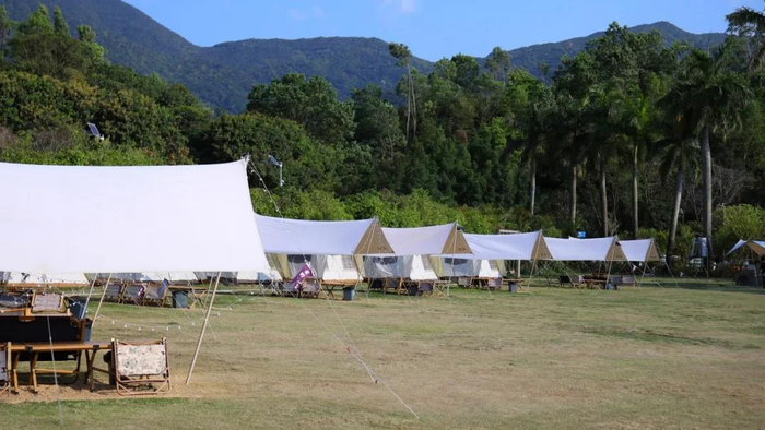 图片来源：罗湖发布