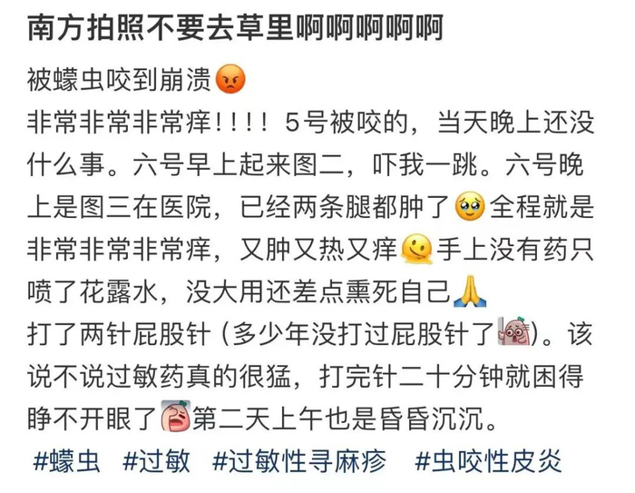 图源：小红书