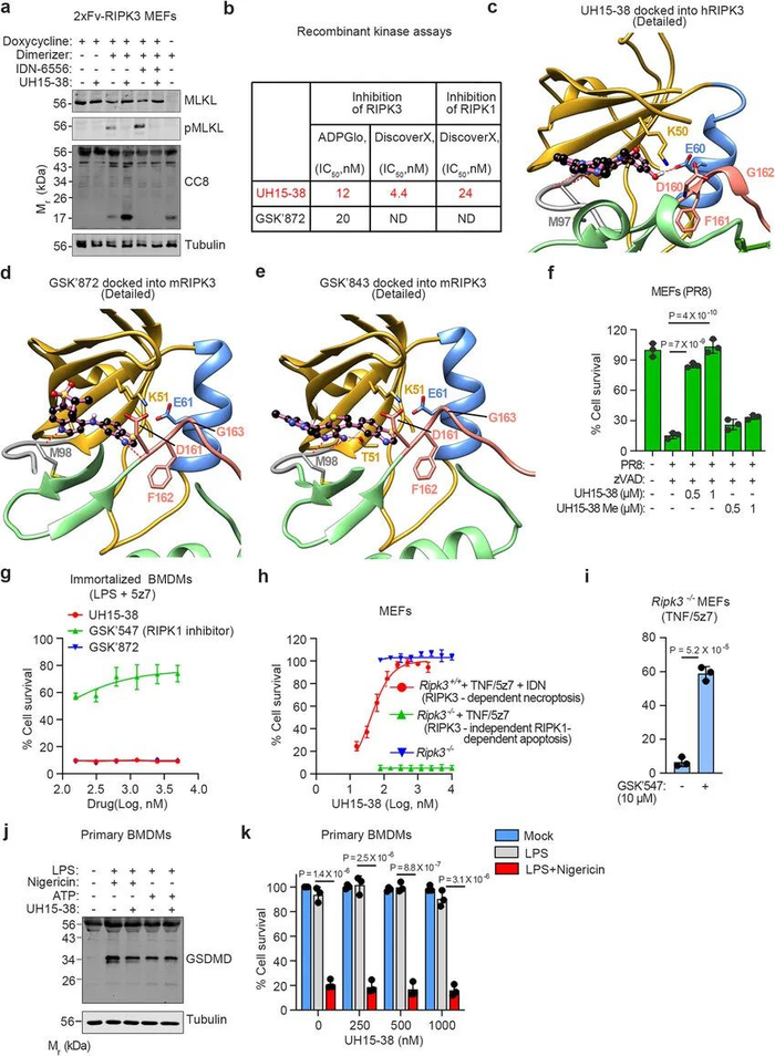 能阻断不必要细胞死亡的特殊化合物或能保护机体抵御严重流感病毒感染所致的损伤