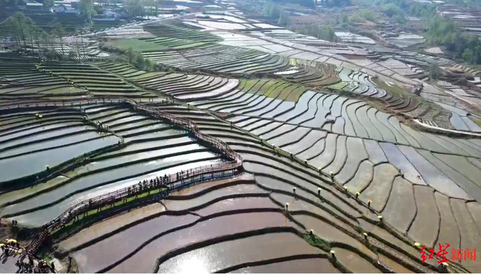 ▲普雄五彩梯田