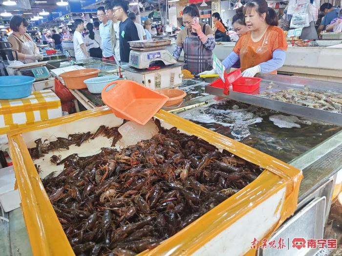 图片来源：南宁晚报