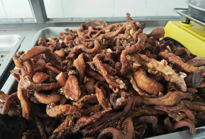 红豆网友 爱吃薯片 摄