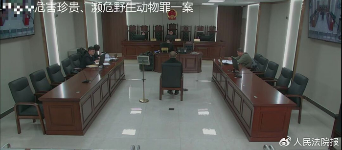 图为庭审现场。