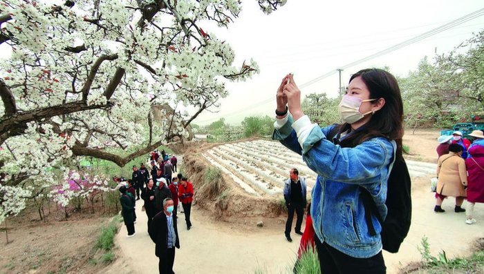 通过多频次百万人大会战,全力构建绿色海东"333"全域生态振兴工程