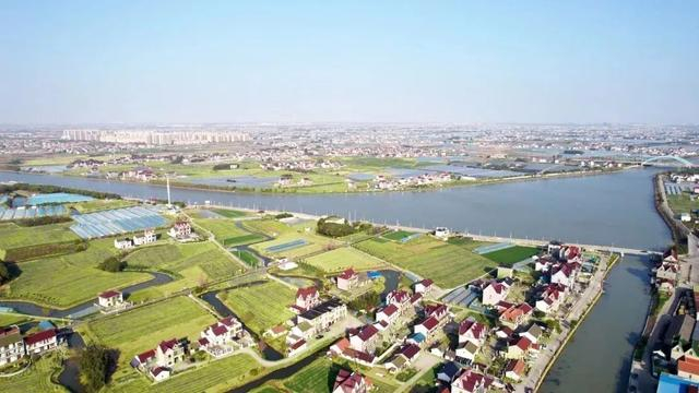 过去一年里,整体规划乡村文旅,发展民宿产业,已成为浦东越来越多镇村