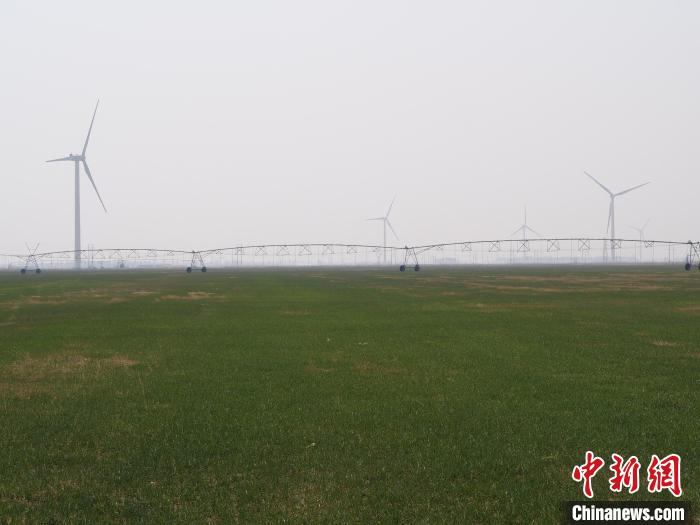 图为开鲁县小街基镇2万亩盐碱地治理地块。　胡建华 摄