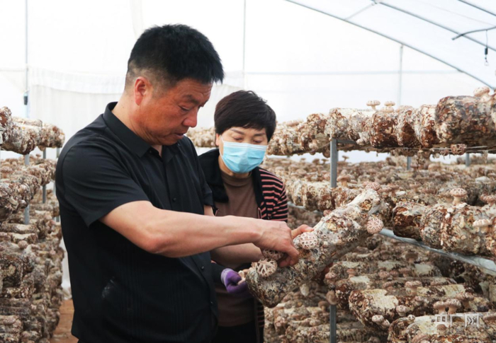 庆阳第三极突进②三元双向富民一方最优解