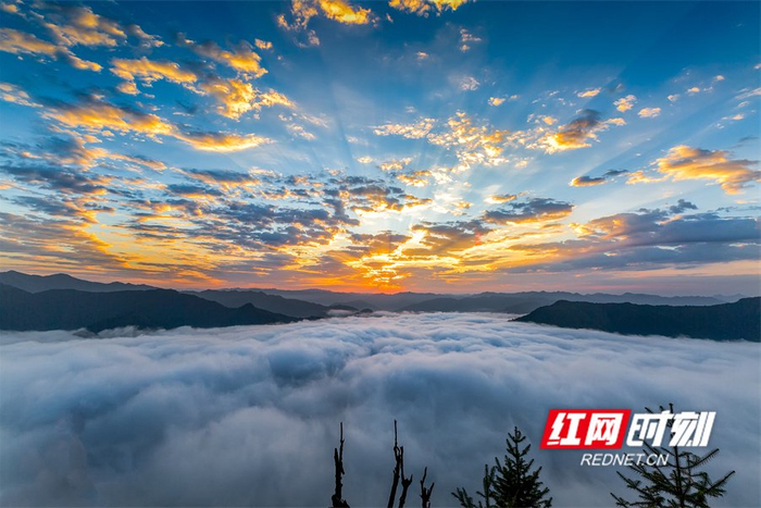 雨过初晴的山间云雾缭绕,仿佛人间仙境.