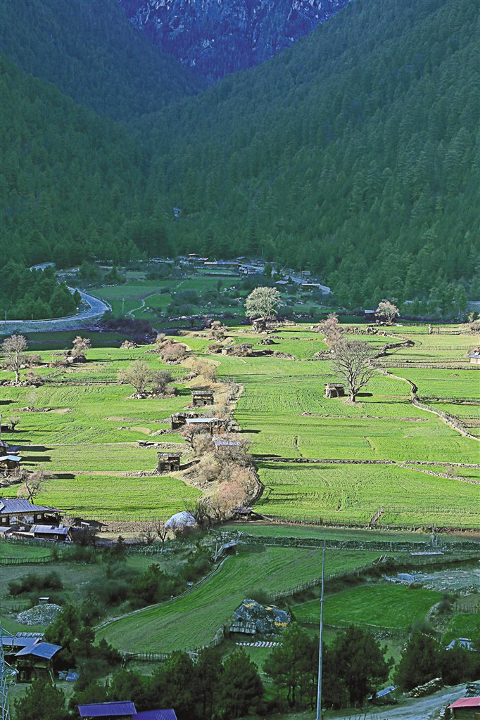 图为八盖的农田。