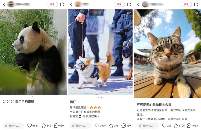 社交平台上网友关于“萌物”的相关笔记