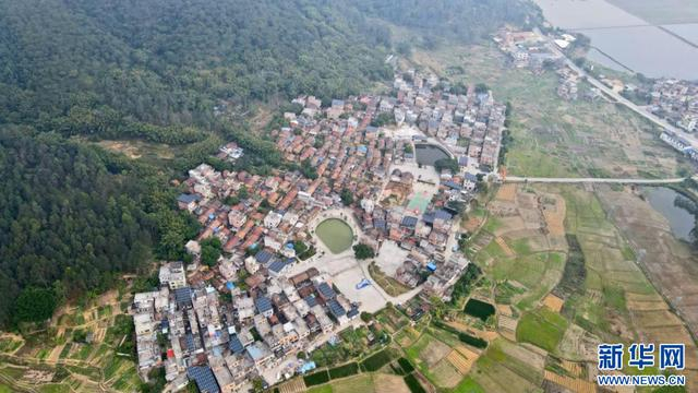 肇庆高要禄步镇鸟瞰图。新华网发（邹绮华 摄）