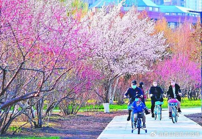 居民骑共享单车出行