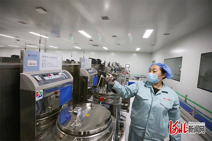 4月16日，在河北旭宇金坤药业有限公司智慧中药煎煮中心煎药车间，工作人员扫码识别药方信息。河北日报记者 王育民摄