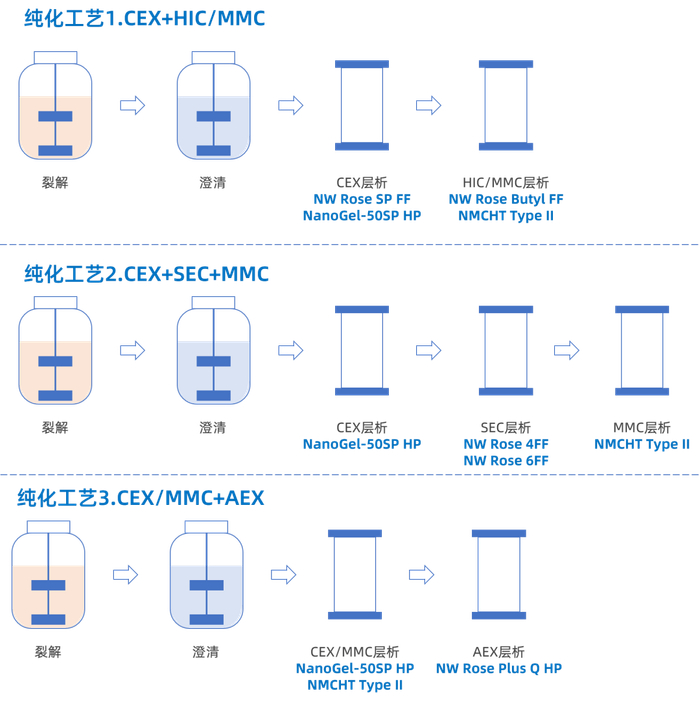 图3. HPV疫苗纯化工艺