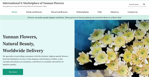 艾瓦特建设的嵩明花卉B2B跨境电商交易信息撮合平台