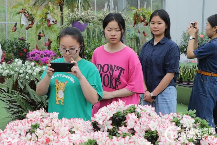 两岸青年学生参观“七里花乡”现代农业产业园。（中国台湾网记者 李宁 摄）