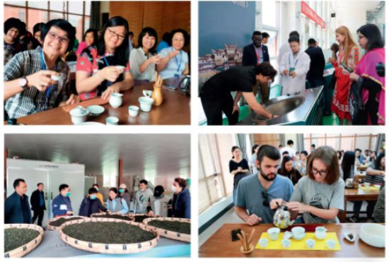 组图：留学生走访茶叶从采摘到销售全流程，深入了解茶产业和茶文化