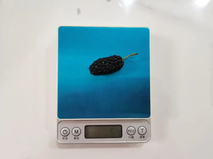 图片来源：作者拍摄