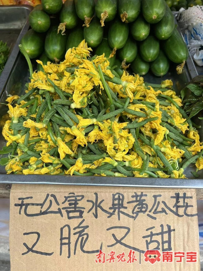 水果黄瓜花。记者 宋延康 摄