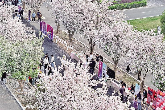     右图为文化艺术节现场热闹非凡。    本报通讯员 魏语彤 本报记者 王洋洋 摄