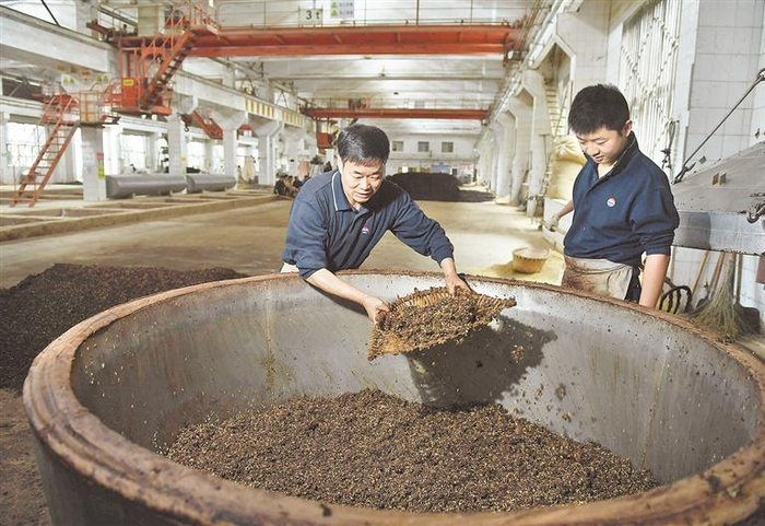  严刚指导员工上甑。 陈慧 摄