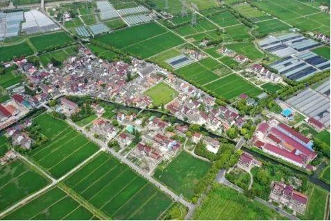 阮巷集镇航拍图（调研工作组自摄）