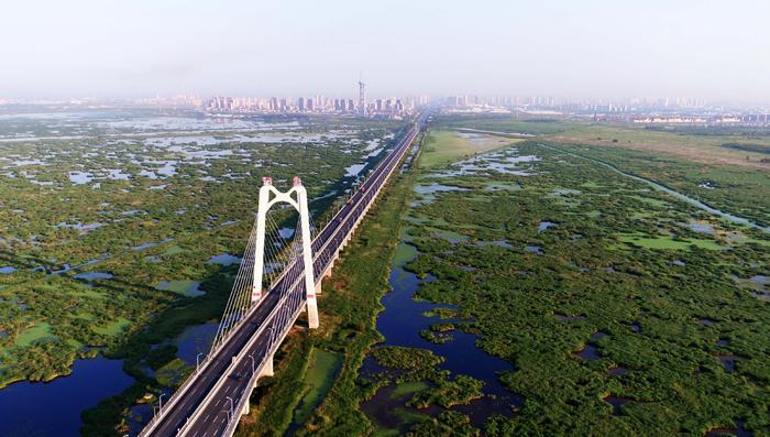 这是大庆龙凤湿地大桥横跨龙凤湿地自然保护区。新华社记者 王凯 摄