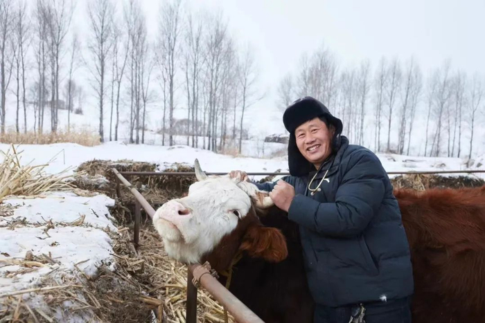 　龙兽医和牛图/受访者提供