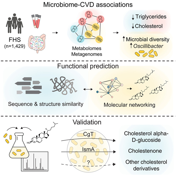 图片来自Cell, 2024, doi:10.1016/j.cell.2024.03.014