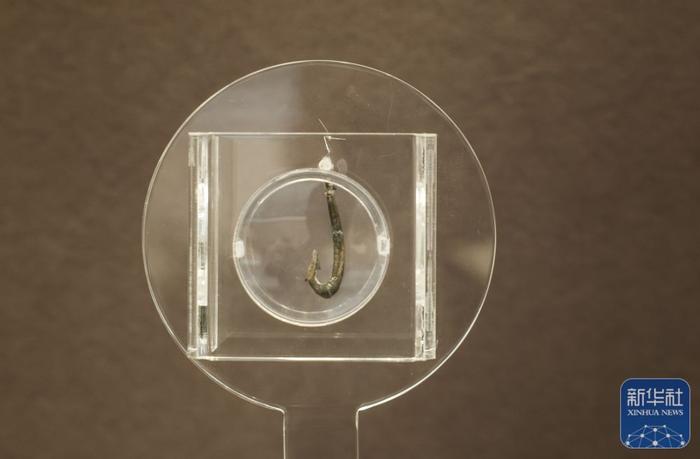 ↑这是良渚博物院内展出的良渚遗址发掘的骨鱼钩（2024年4月18日摄）。新华社记者 徐昱 摄
