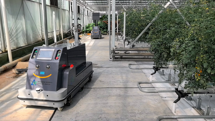 寿光菜博会上展示的喷雾机器人（前）和智能授粉机器人（后）。新华社记者叶婧 摄