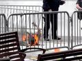 Man who set himself ablaze outside Trump courthouse has died