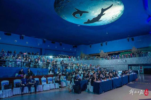 题图来源：美人鱼选手在预选赛上表演。 图片来源：本文图片均孟雨涵 摄。 