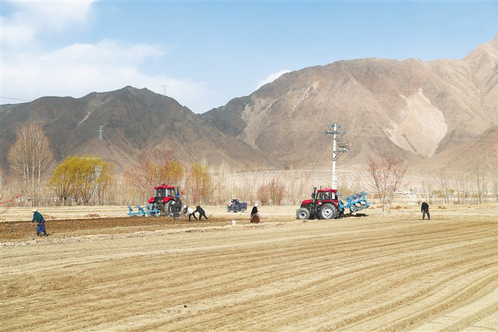 扎囊县扎其乡孟卡荣村村民利用大型农机进行春耕春播。记者 李洲 摄