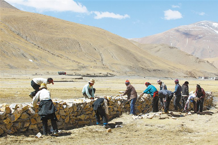 山南群众加高加固堤防，提高春耕灌溉用水能力。记者 格桑吉美 摄