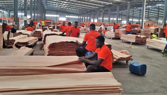 位于加蓬经济特区的一家中国木材公司工厂（中国驻加蓬大使馆供图）