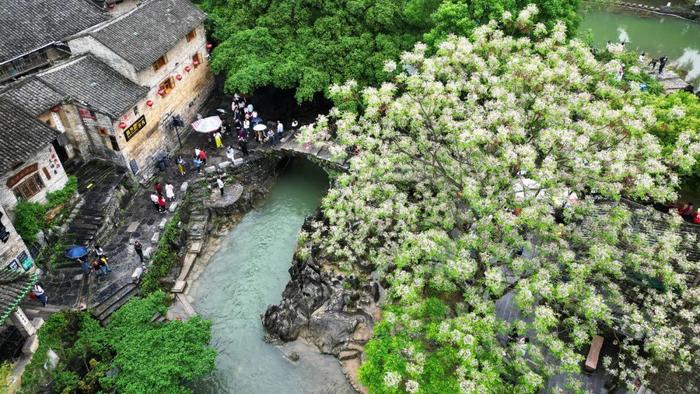 习近平总书记在深度贫困地区脱贫攻坚座谈会上的重要讲话引起强烈反响