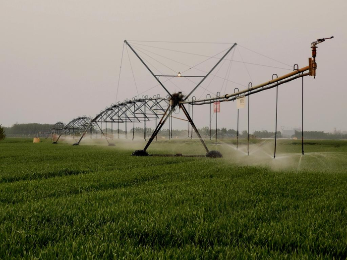 图3 自走式指针喷灌机正在进行浇水作业 新华社记者王念摄