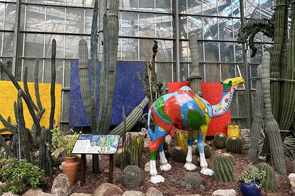 与春相逢在东湖丨在武汉东湖探索"植物王国"