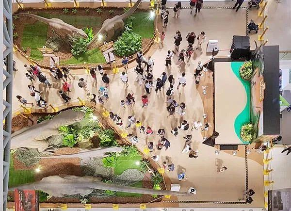 （图片来源：mydinosaurs.com）