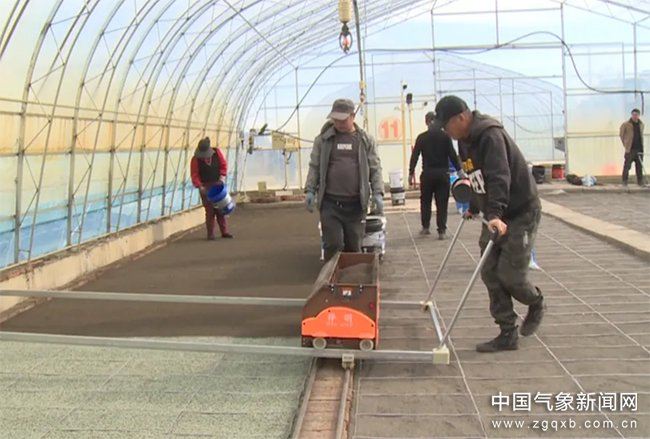 富锦市水稻示范基地正在进行大棚水稻播种作业 富锦市气象局提供