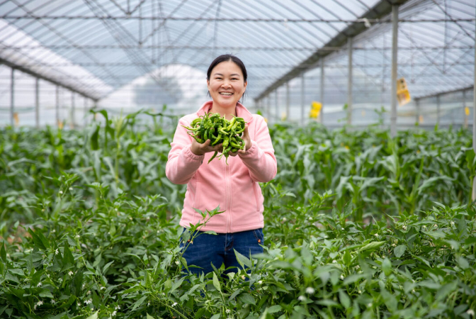 宁乡"辣椒夫妻"触发网络经济向"新"力!