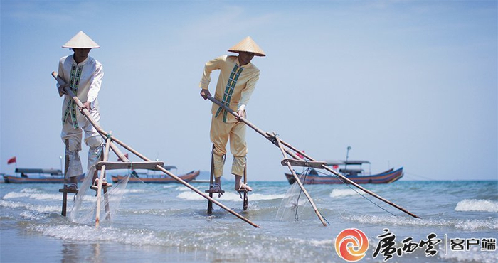 京族群众穿着民族服饰、戴斗笠进行传统捕捞方式——踩高跷捕鱼，该劳作方式已成为当地旅游热门表演项目。谭海东 范宗铭/摄