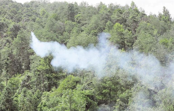     无人机喷施噻虫啉防治松褐天牛。  （贵州省林业局供图）