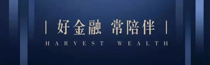 嘉实财富对买方代理的思考与实践 ——投资者回报白皮书系列研究报告