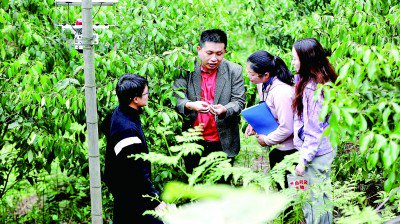 分得宜春地 东偏一画屏——江西省分宜县院地共促科研转化助推乡村