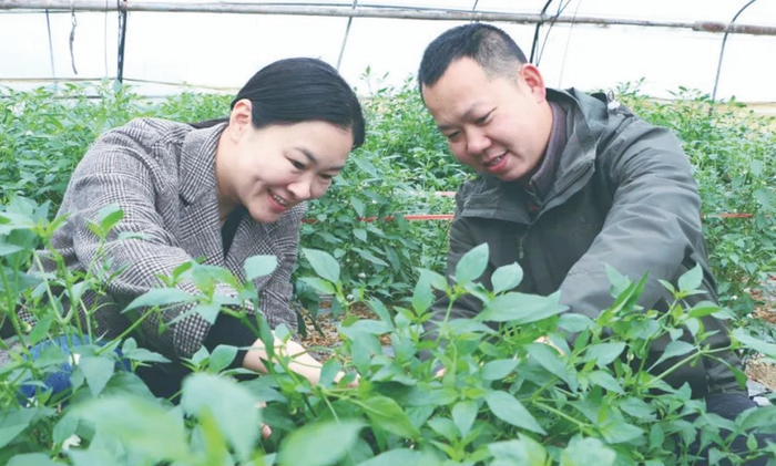 宁乡"辣椒夫妻"触发网络经济向"新"力!