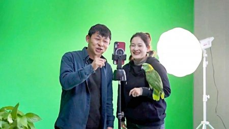 梁卫夫妇通过直播销售鹦鹉。受访者供图