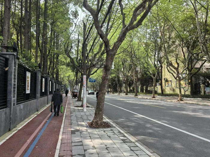 △沈家弄路以南的巨野路已完成了更新，街道面貌焕然一新。