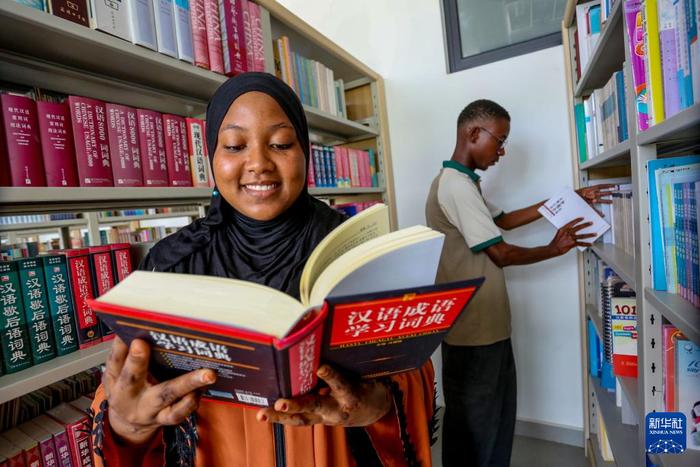   4月18日，学生在坦桑尼亚达累斯萨拉姆大学孔子学院图书馆查阅书籍。新华社发（赫尔曼·埃马纽埃尔摄）